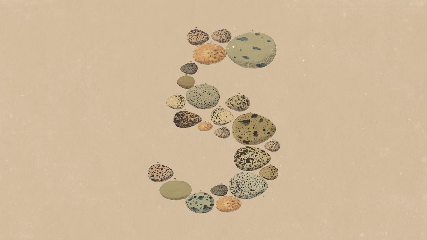 Anthropic Claude Opus 5 official release artwork