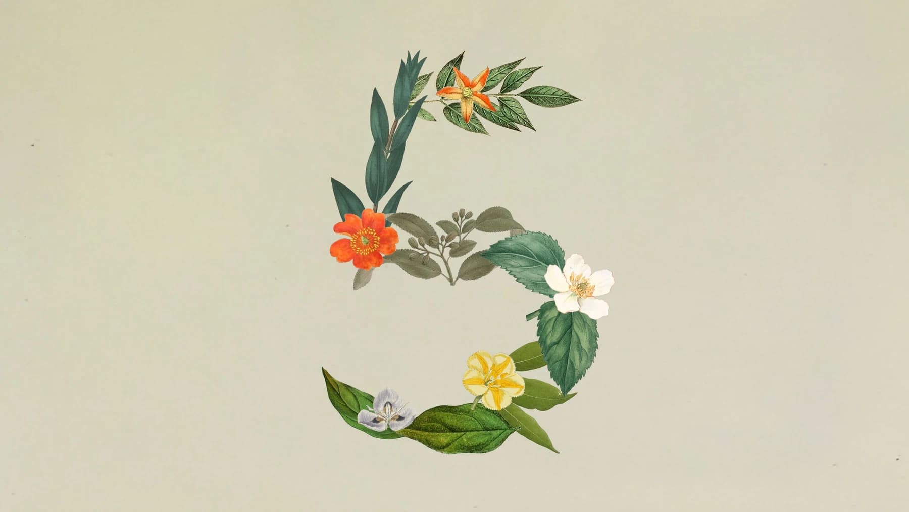Anthropic Claude Sonnet 5 official release artwork